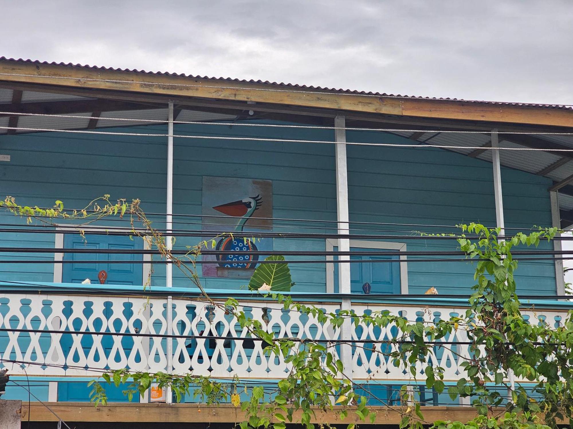 Casa Pelicano Bocas Town Kültér fotó