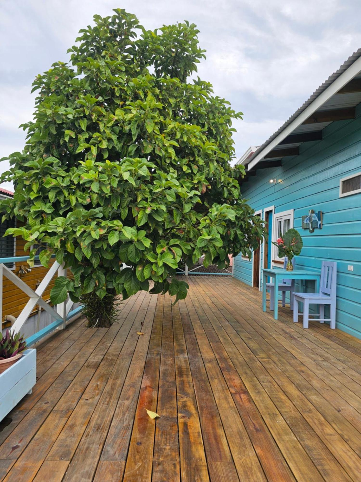 Casa Pelicano Bocas Town Kültér fotó