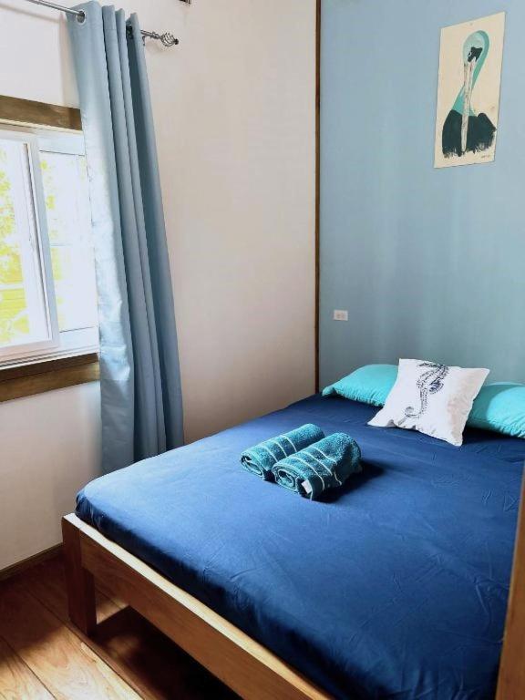 Casa Pelicano Bocas Town Kültér fotó
